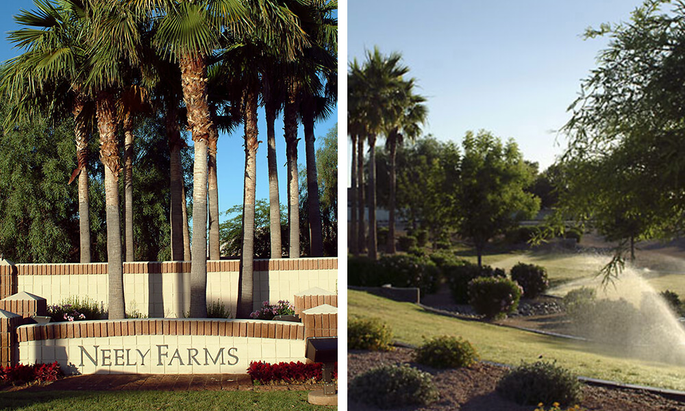 Neely Farms