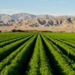 HARVARD INVESTMENTS WORKS WITH STAKEHOLDERS TO UNLOCK WATER-SMART GROWTH FOR ARIZONA’S FUTURE